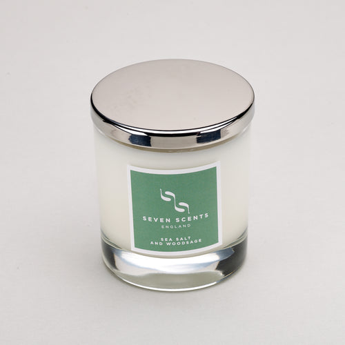 Stainless Steel silver lid